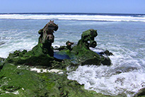 美屬太平洋群島海運(yùn)介紹