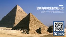 埃及新規(guī)實施造成關(guān)稅大漲 導(dǎo)致一系列連鎖反應(yīng)
