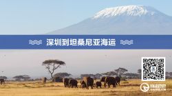 深圳到坦桑尼亞海運(yùn)