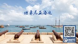 坦桑尼亞政府征收18%增值稅 當(dāng)?shù)劂y行手續(xù)費(fèi)將飆升