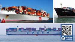 COSCO、OOCL及ANL攜手組成新亞澳聯(lián)盟