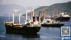 越南進口到中國海運價格