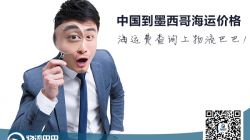 中國(guó)到墨西哥海運(yùn)價(jià)格