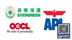 EMC、OOCL、APL最新規(guī)定和費用調(diào)整